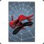 Webs