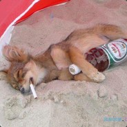 бустер до рекрута