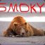 Smoky_the_Bear