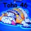 Toha46