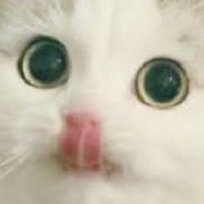 :|