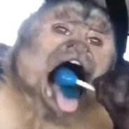 小雞雞