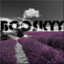 BooSkyy