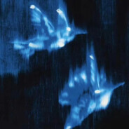 晚上来电梯口一下