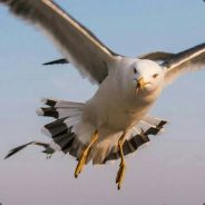 hkil2349