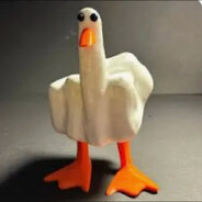 Unknown_Duck