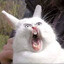 Sup3rwom3n