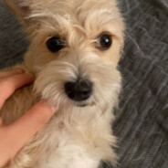 Avatar JACK PERDONAME !!!!