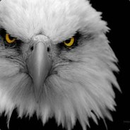 Condor Steam avatar