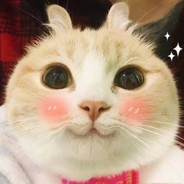 小花鸭