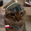 Kurwek