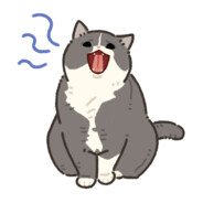 Big Avatar