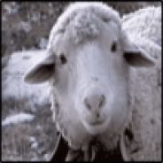 Chrząszczyżewoszyw