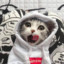 玖灬月灬