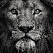 CHIPPY #VALVlutschtmeineEier