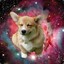 GalacticCorgi