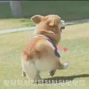 你想帮鼠老板偷走美味猫堡吗