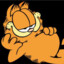 Garfield (REAL!)