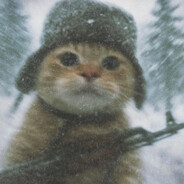 MacTavish - steam id 76561198995743253