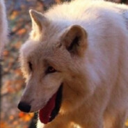 倒地不起快救我