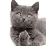 I'M AWESOME -tMz1HARDSTYLE