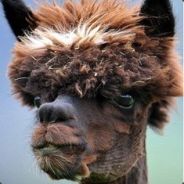 草泥马超鬼