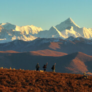 ￴ ￴￴ ￴ ￴￴ ￴￴ ￴