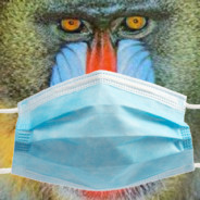 MaskedBaboon
