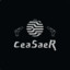 CeaSaeR