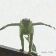 Kermit