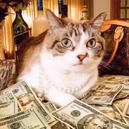 新城已无旧少年