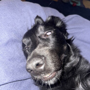 RAWRXD