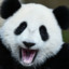 PandaRandom