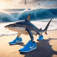 👟🦈👟