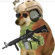 雨姐专用突击手