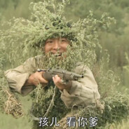 塔湾村民兵葛二蛋