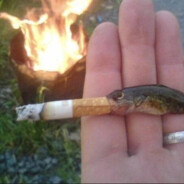 ДЖЕК ПОДРОЧИТЕЛЬ