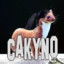 cakyno