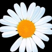 她看不到我的细节