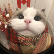 她说话有股孩子气