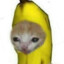 GatoDeBanana