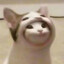 世界上最厉害的猪