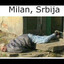 Milan