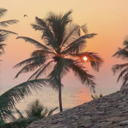 † NoFear#UntaCommunity | Trade