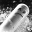 Lukaszekk_1337;+3