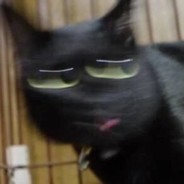 莫唱当年长恨歌