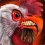 Angrychicken