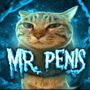 Mr. Penis