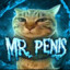 Mr. Penis/TTV