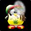 Stonka
